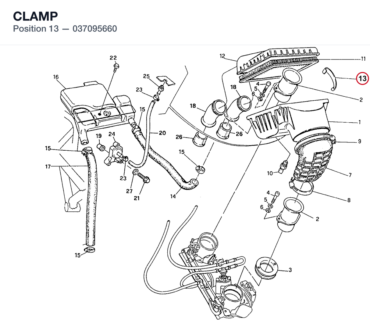 CLAMP