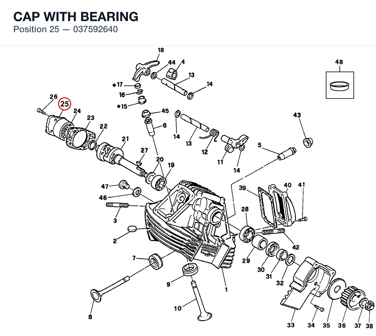 CAP WITH BEARING
