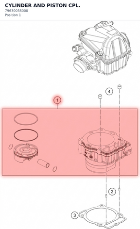 Diagram preview: CYLINDER AND PISTON CPL. (79630038000)