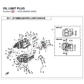 OIL LIMIT PLUG product image