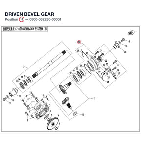 DRIVEN BEVEL GEAR product image