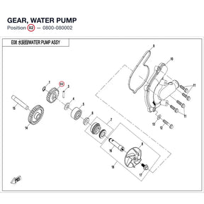 GEAR, WATER PUMP product image