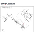 IMPELLER, WATER PUMP product image