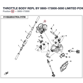 THROTTLE BODY REPL BY 0800-173000-5000 product image