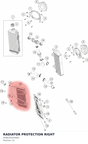 Diagram preview: RADIATOR PROTECTION RIGHT (A58035035000)