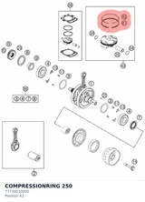 Diagram preview: COMPRESSIONRING 250 (77730030000)