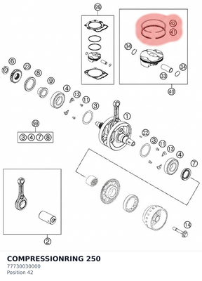 Diagram preview: COMPRESSIONRING 250 (77730030000)