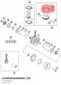 Diagram preview: COMPRESSIONRING 250 (77730030000)