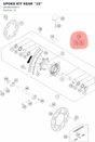 Diagram preview: SPOKE KIT REAR ''19'' (00050000917)