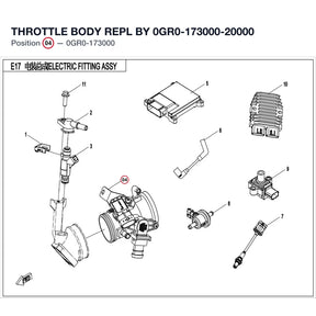 THROTTLE BODY REPL BY 0GR0-173000-20000 product image