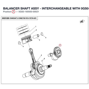 BALANCER SHAFT ASSY - INTERCHANGEABLE WITH  0GS0-160000-00020 product image