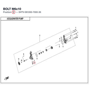 BOLT M6x10 product image