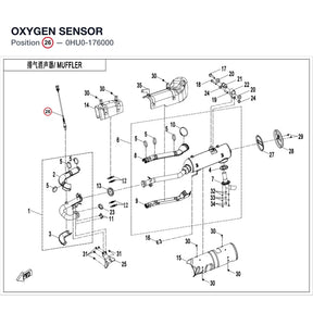 OXYGEN SENSOR product image