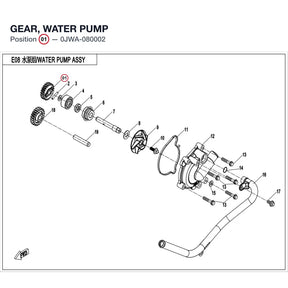 GEAR, WATER PUMP product image