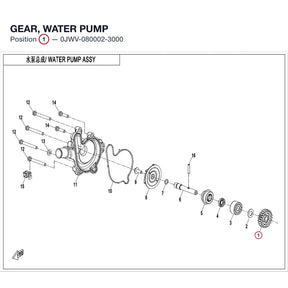 GEAR, WATER PUMP product image