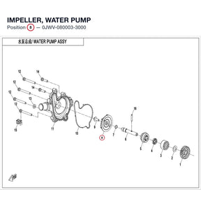 IMPELLER, WATER PUMP product image