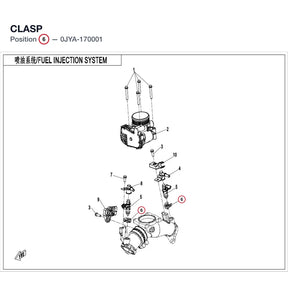 CLASP product image