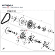 NUT product image
