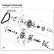TOOTHED DRIVE BELT product image