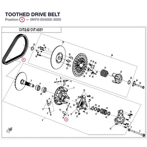 TOOTHED DRIVE BELT product image