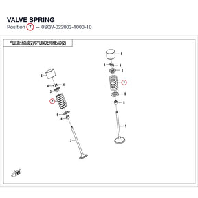 VALVE SPRING product image