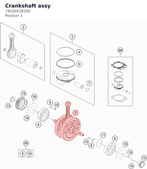 Diagram preview: Crankshaft assy (79430518200)