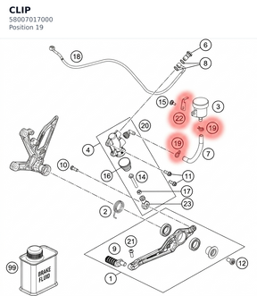 Diagram preview: CLIP (58007017000)