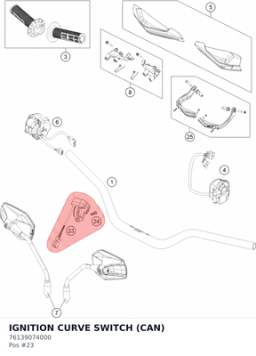 Diagram preview: IGNITION CURVE SWITCH (CAN) (76139074000)