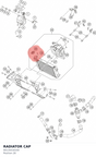 Diagram preview: RADIATOR CAP (90135016100)