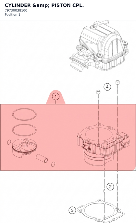 Diagram preview: CYLINDER &amp; PISTON CPL. (79730038100)