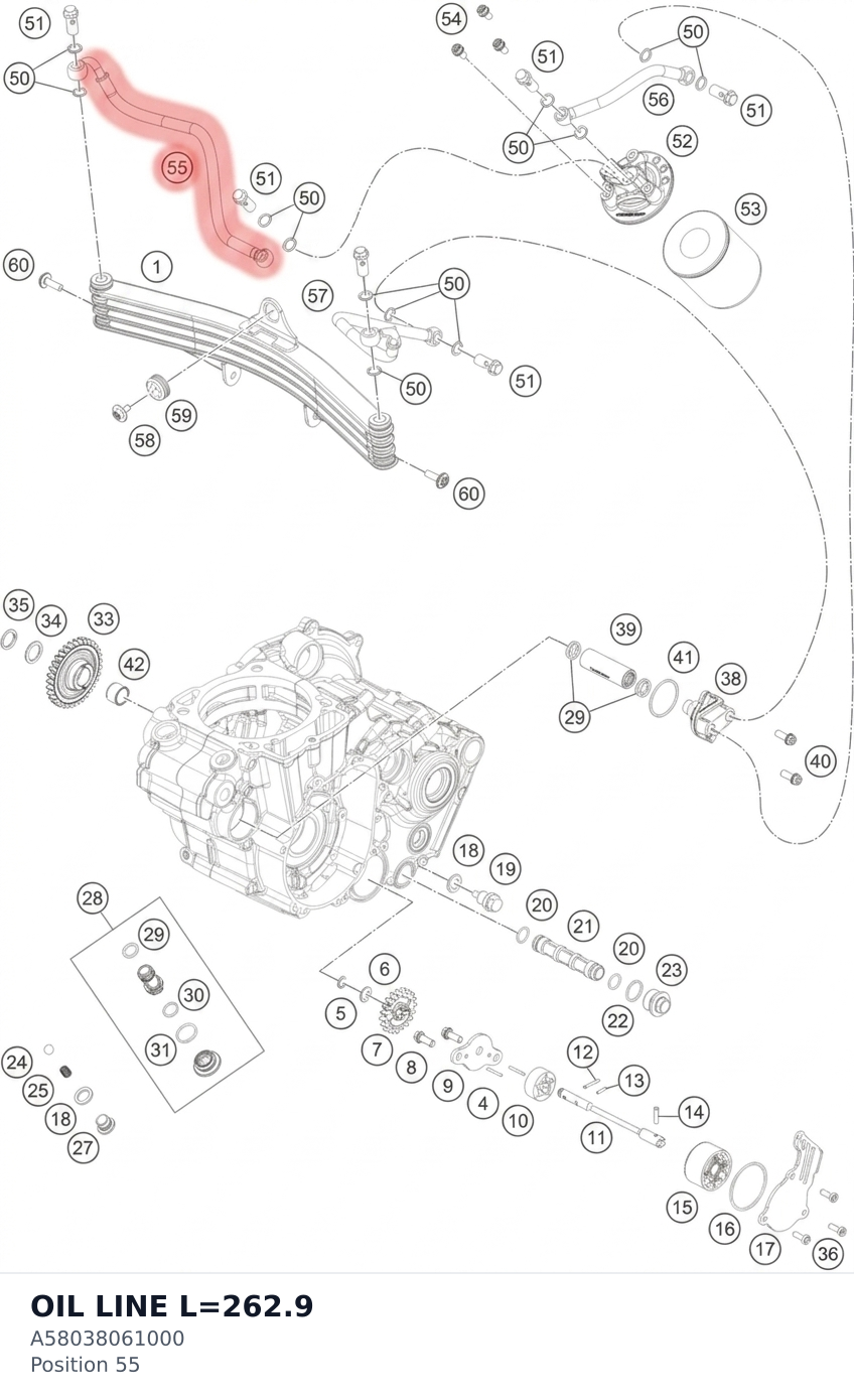 Diagram preview: OIL LINE L=262.9 (A58038061000)