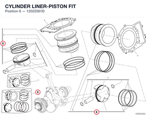 CYLINDER LINER-PISTON FIT 12022561D diagram position