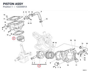 PISTON ASSY
