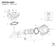 PISTON ASSY
