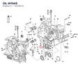 OIL INTAKE