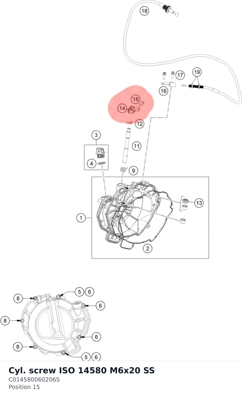 Diagram preview: Cyl. screw ISO 14580 M6x20 SS (C014580060206S)