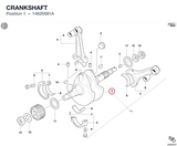 CRANKSHAFT