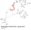 Diagram preview: Evaporative canister hose - purge valve (A67515028000)