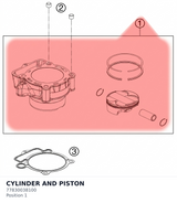 Diagram preview: CYLINDER AND PISTON (77830038100)