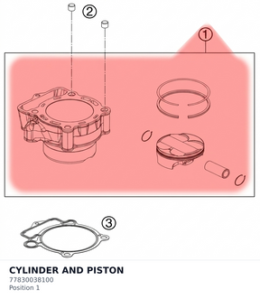Diagram preview: CYLINDER AND PISTON (77830038100)