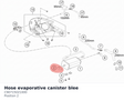 Diagram preview: Hose evaporative canister blee (C90715021000)