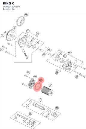 Diagram preview: RING O (J770004126200)