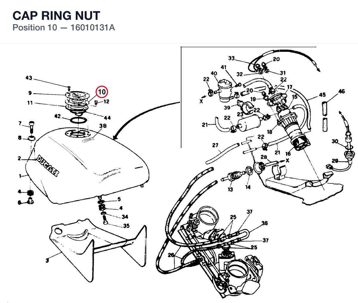 CAP RING NUT