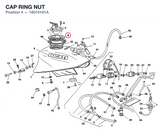 CAP RING NUT