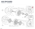 HUB, REAR WHEEL