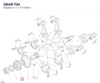 GEAR T24 17111001A diagram position