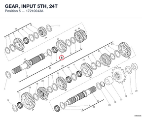 GEAR, INPUT 5TH, 24T 17210043A diagram position