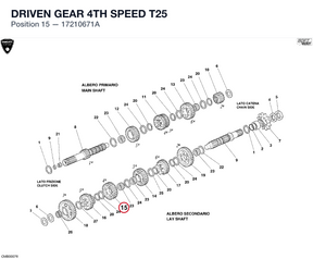 DRIVEN GEAR 4TH SPEED T25