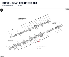 DRIVEN GEAR 6TH SPEED T23