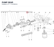 PUMP GEAR